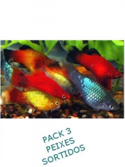 Platy Pack 3 Cores