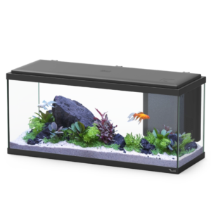 Aquario EXPLORER AMSTERDAM 80x30x37 - 85L, LED 17W e Biobox1