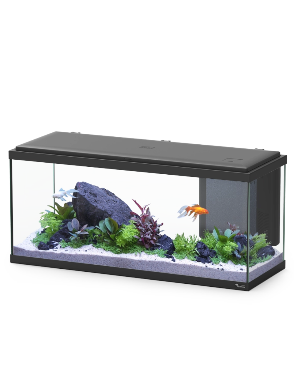 17950 aquario amsterdam bio 80 preto