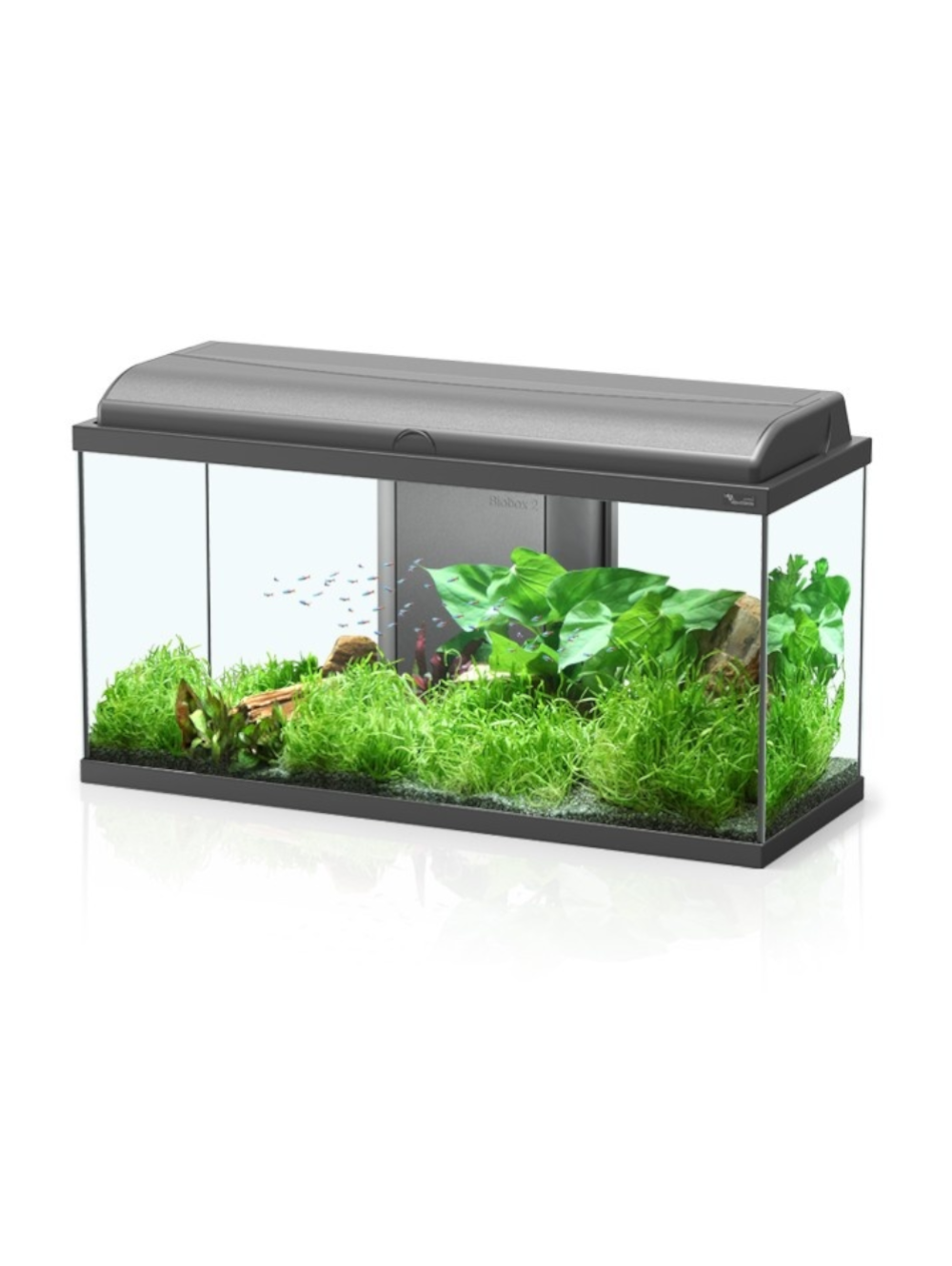 08873 Aquario Aquadream 80x30x40