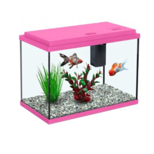 Aquario Funny Fish 35x18x25 13 L com filtro BioFilter 200
