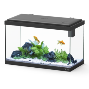 Aquario EXPLORER VIENA 50 - 50 x 25 x 33 34L