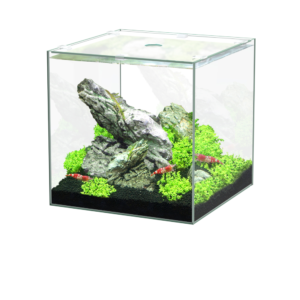 Aquario KUBUS simples