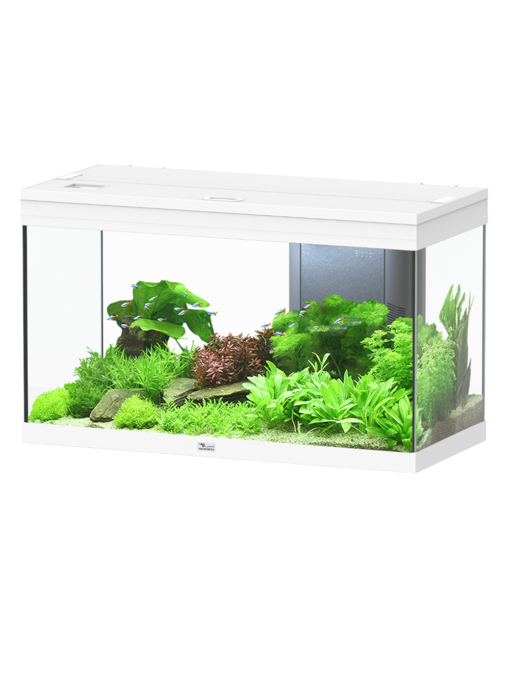 18471 Aquario Volga 125 branco