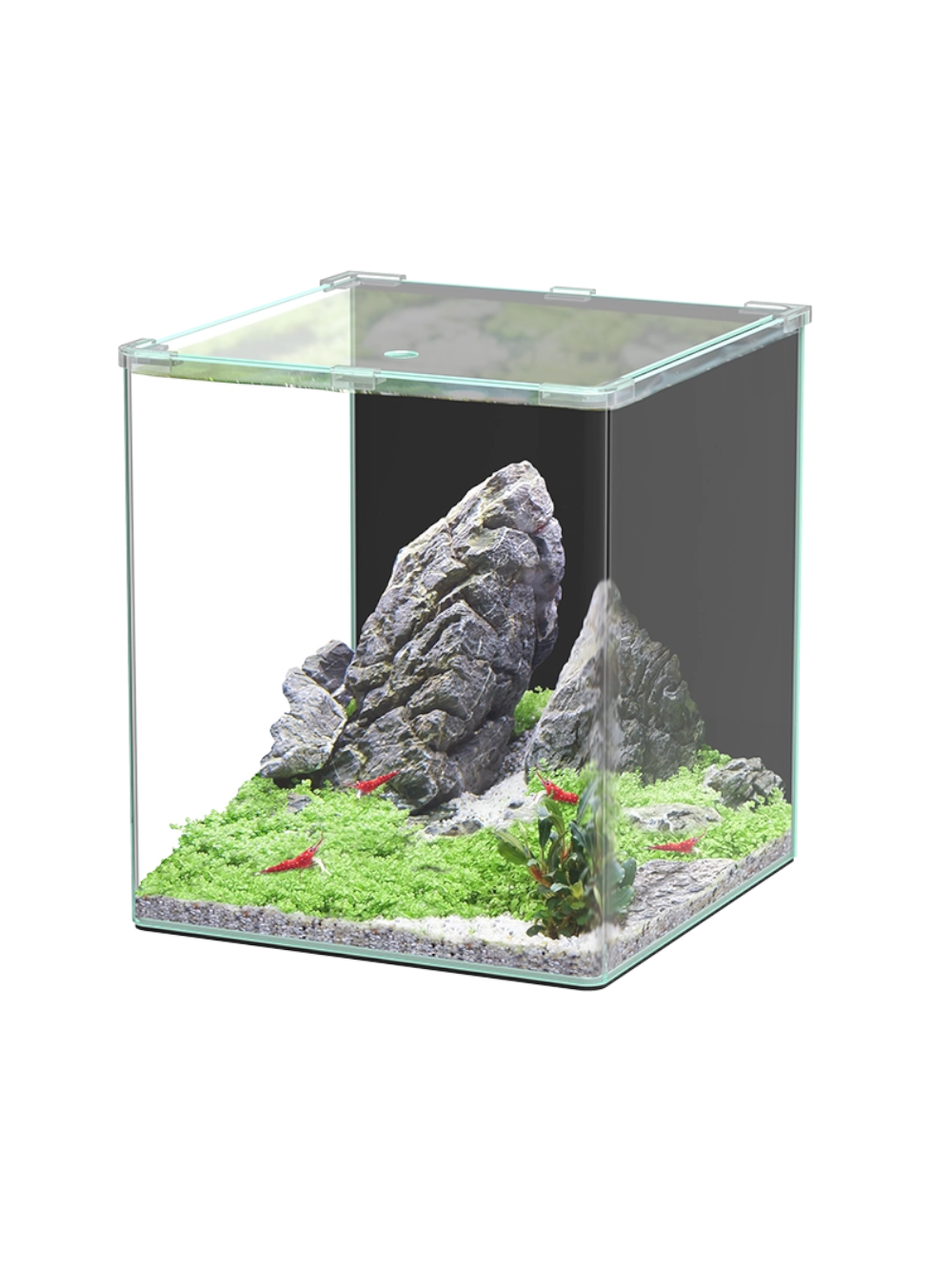 21534 Aquario KUBUS CURVE 44L BASICO 34x34x38