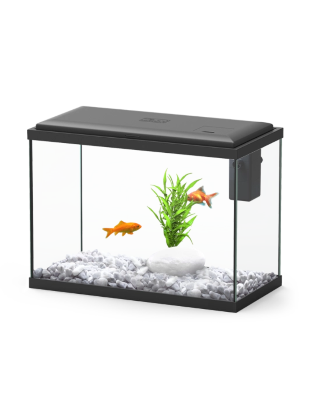 KIT13920 Aquario Explorer London Preto 35x18x26 13L com areao, anti-cloro e comida