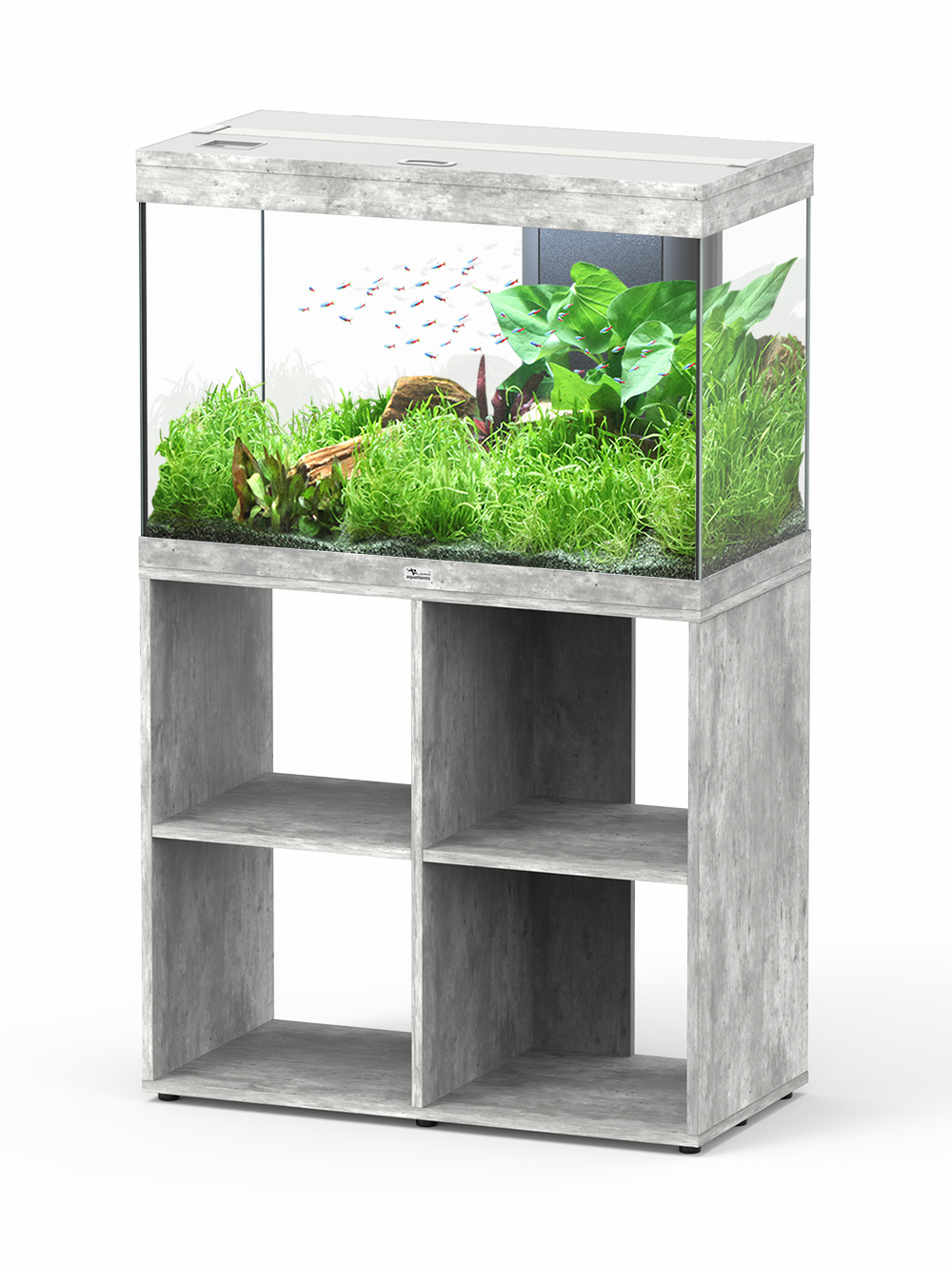 17730 Movel Splendid stand 80 cinza 2