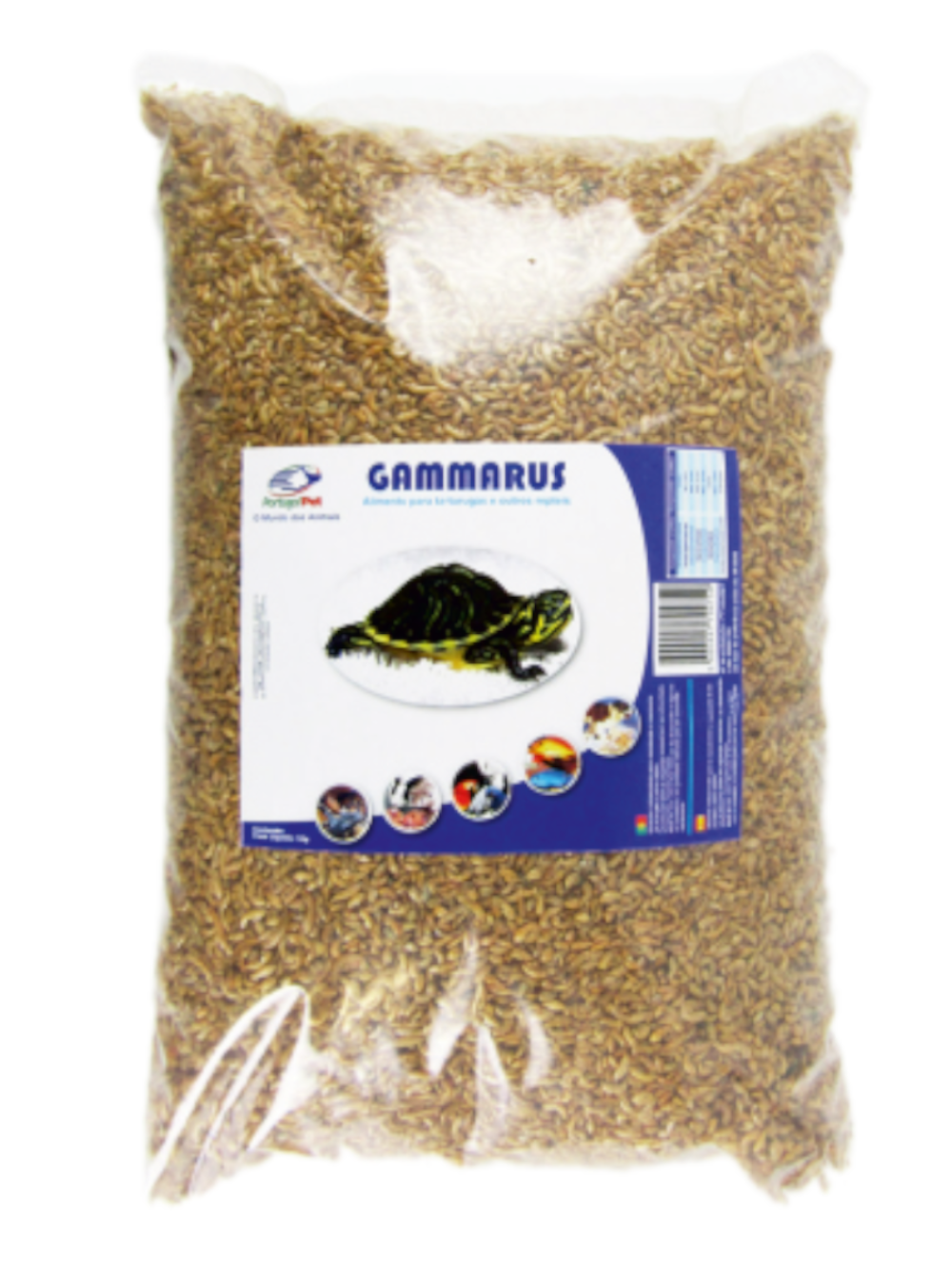 P02GAMMAR GAMMARUS 1