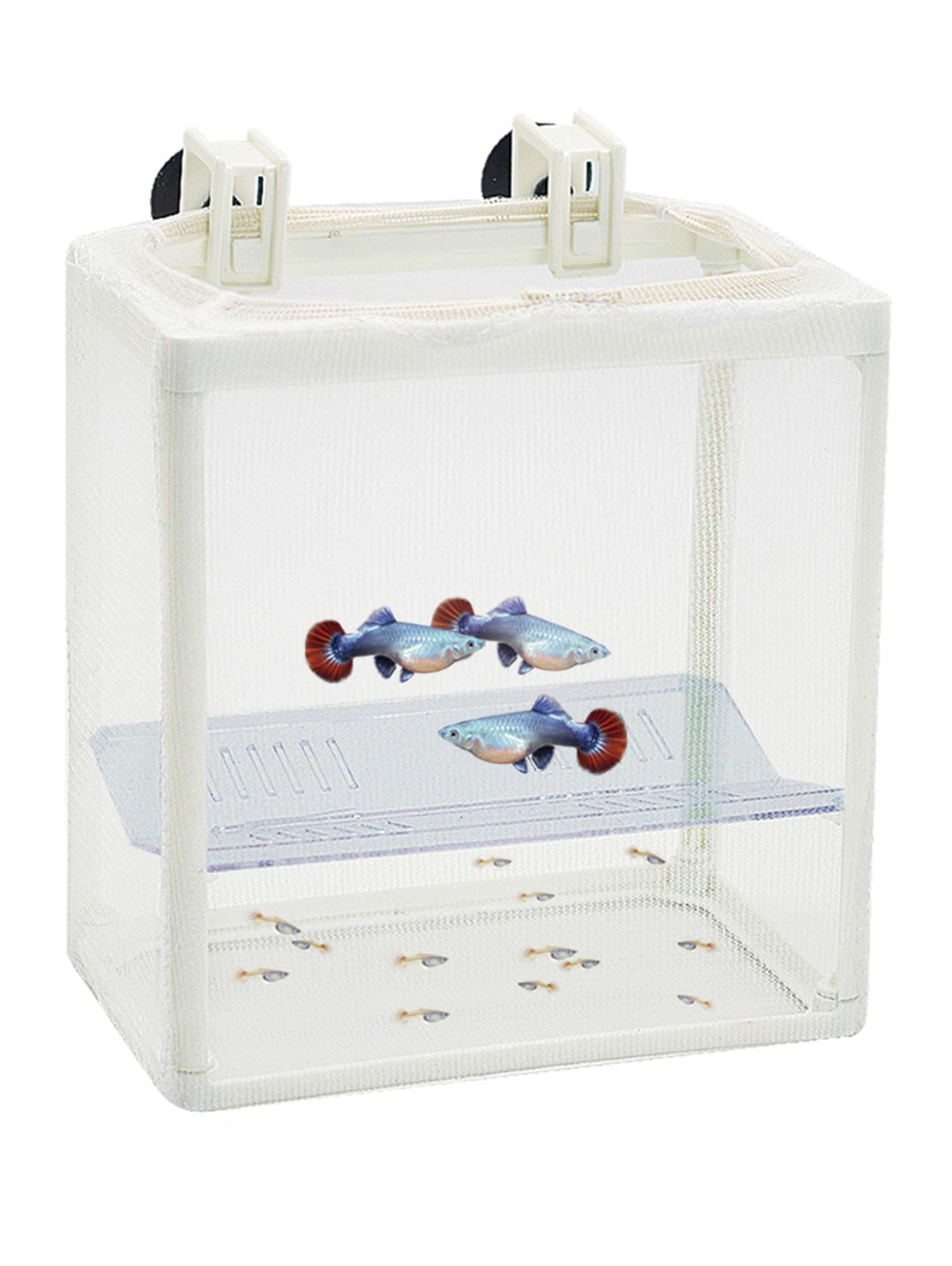 AP936 Parideira Criadeira de rede com divisoria
