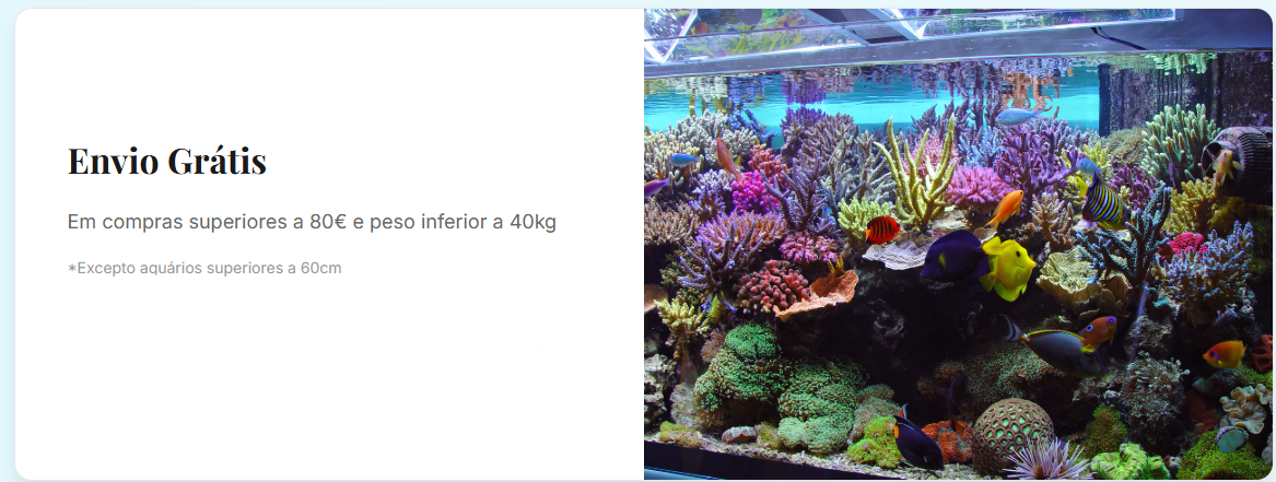 Captura de ecrã 2025-11-26 122749