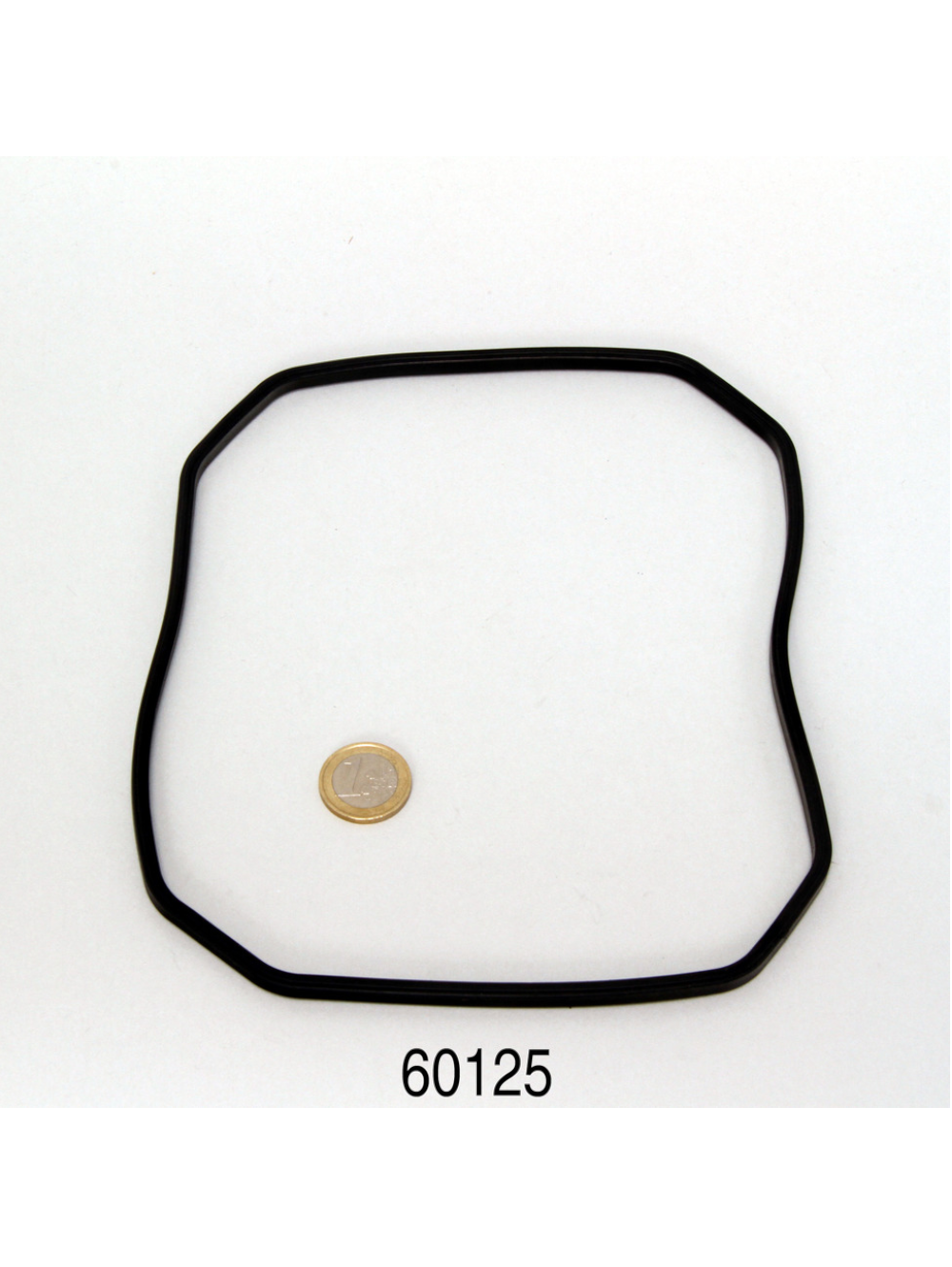 6012500 JBL Borracha vedante cabeça filtro CF e1501