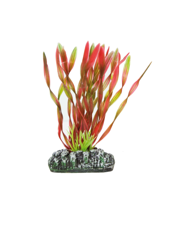 AP1031 planta plastica valesneria vermelha 10,5cm