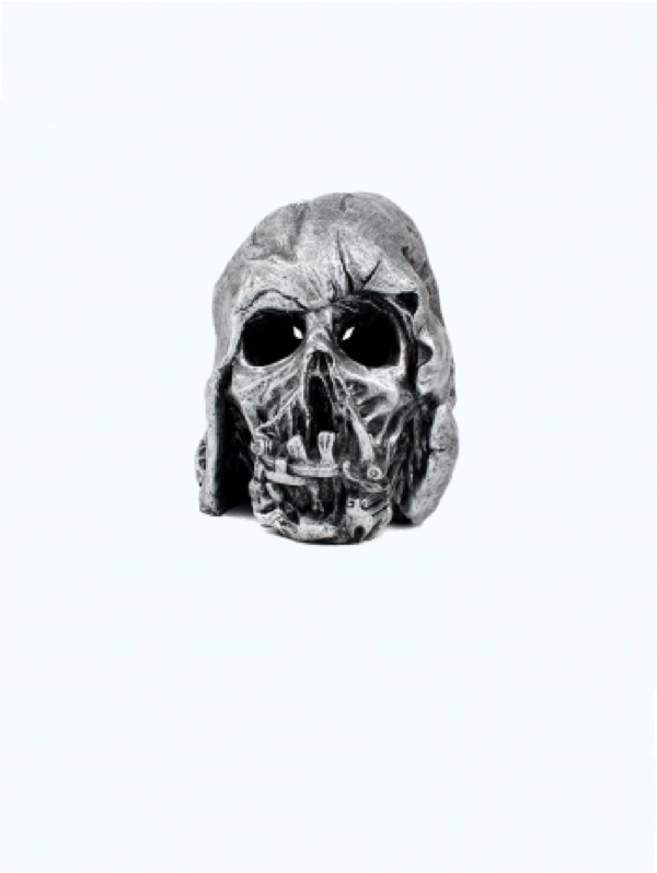 AD Metal Skull